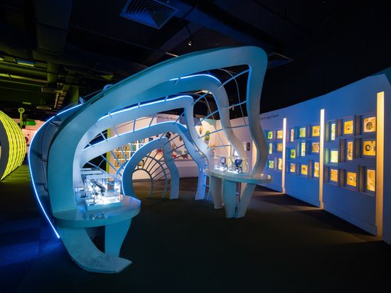 Entopia-Indoor-3-min