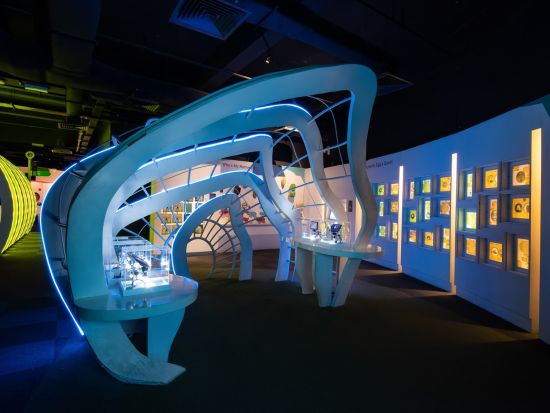 「エントピア by ペナンバタフライファーム」入場チケット　屋内外の展示で昆虫と植物の世界を楽しむ自然体験！