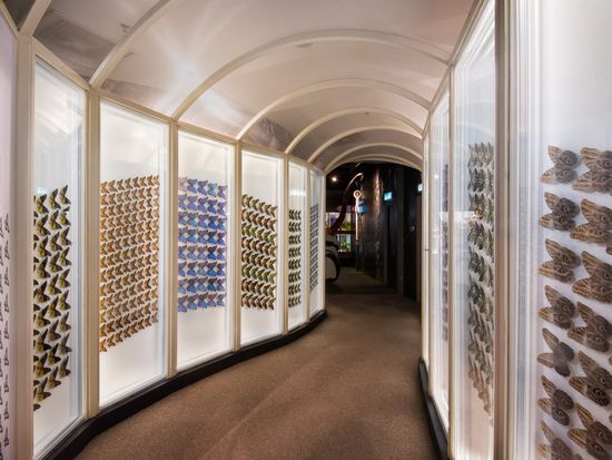 Entopia-Indoor-4-min