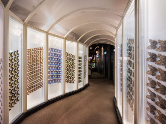 「エントピア by ペナンバタフライファーム」入場チケット　屋内外の展示で昆虫と植物の世界を楽しむ自然体験！