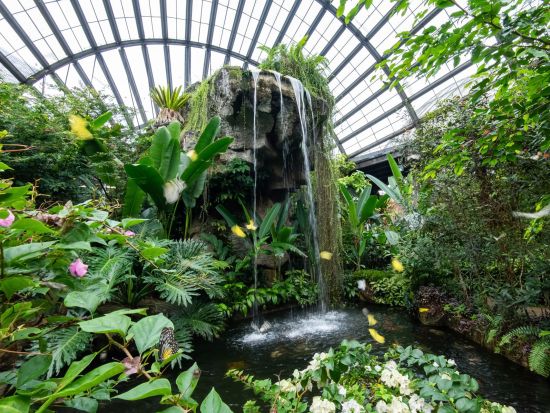 「エントピア by ペナンバタフライファーム」入場チケット　屋内外の展示で昆虫と植物の世界を楽しむ自然体験！