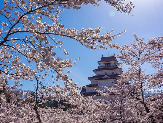 ダウンロード (51)