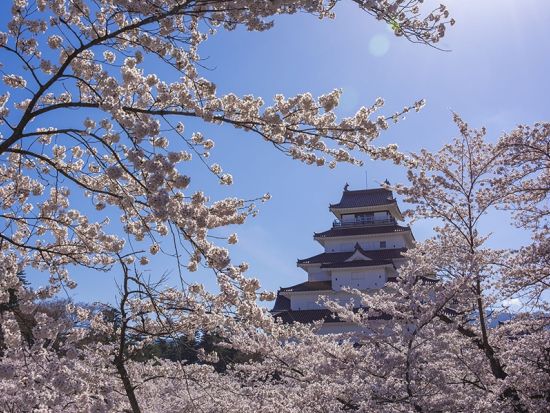 【4/17催行決定】仙台発福島日帰りバスツアー 日中線・鶴ヶ城・宮川千本桜 桜名所を巡る旅＜会津名物昼食付／仙台駅発着＞ by クラブツーリズム