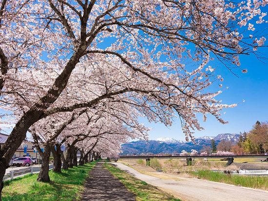 ダウンロード (52)