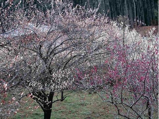 ダウンロード (55)