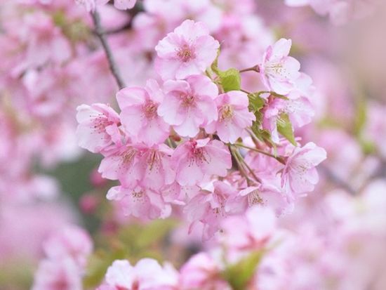 ダウンロード (53)