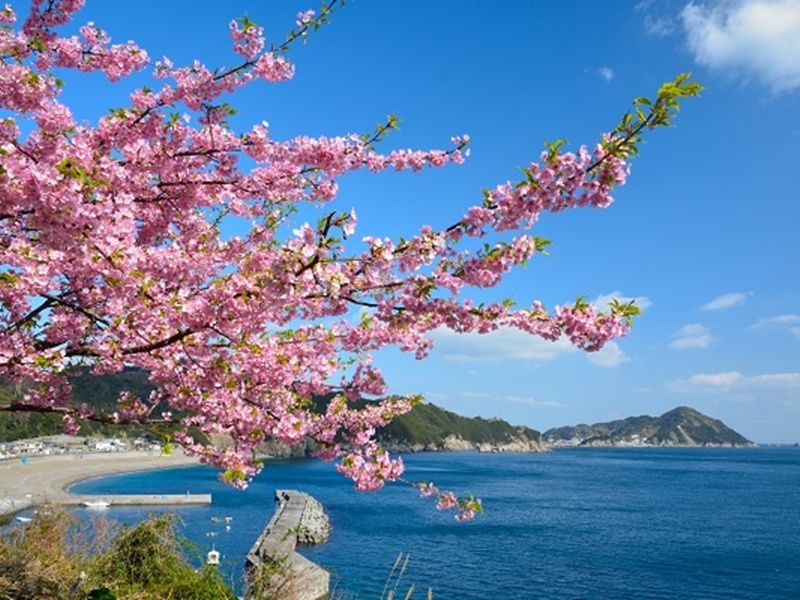 ダウンロード (54)