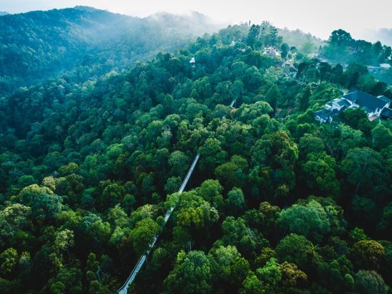 「ザ・ハビタット・ペナン・ヒル（The Habitat Penang Hill）」入場チケット　絶景の吊橋と展望台で熱帯雨林の大自然を満喫！