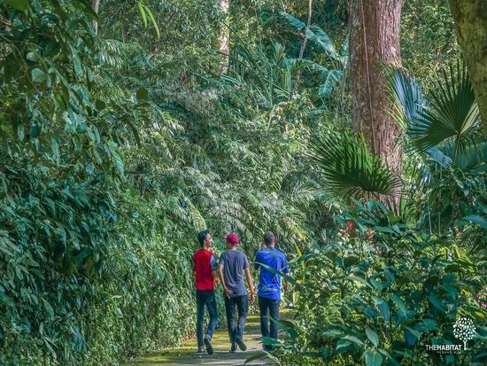 Caption - The Gateway to a lush and pristine rainforest