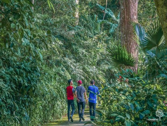 「ザ・ハビタット・ペナン・ヒル（The Habitat Penang Hill）」入場チケット　絶景の吊橋と展望台で熱帯雨林の大自然を満喫！
