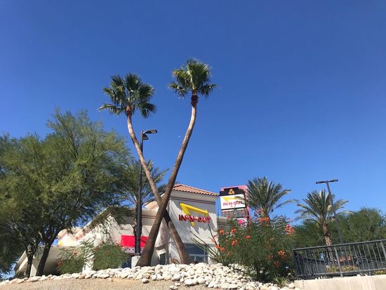 innout01