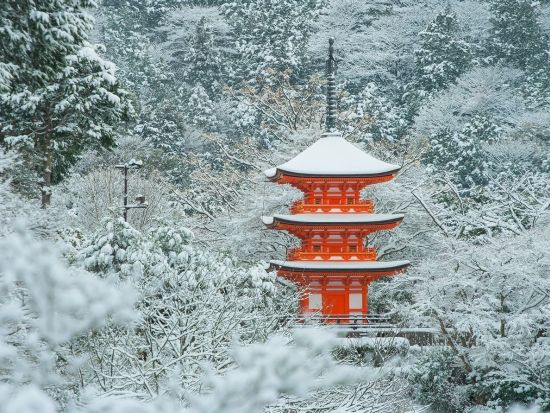 貸切観光タクシー 金閣寺・二条城・清水寺で初めての京都満喫プラン＜４.5時間／大津市内発／京都市内着／京都市内発オプションあり／1～9名＞by 滋賀ヤサカ自動車