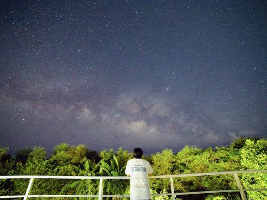 石垣島ナイトサファリツアー ヤシガニに出会える♪星空の下のジャングル探検 石垣島の夜に非日常体験♪＜約2時間／石垣島＞