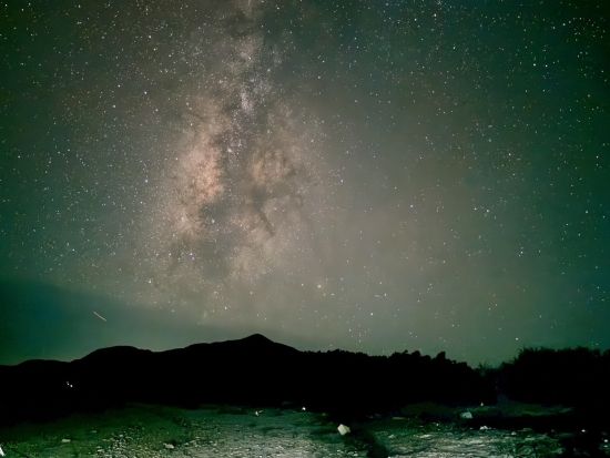 石垣島ナイトサファリツアー ヤシガニに出会える♪星空の下のジャングル探検 石垣島の夜に非日常体験♪＜約2時間／石垣島＞