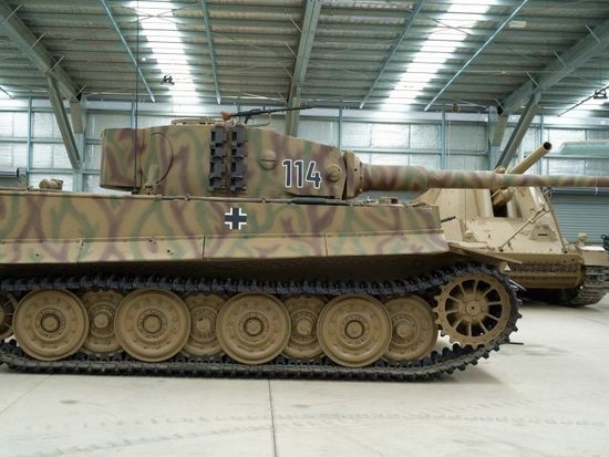 Tiger-DSC02554-1024x576