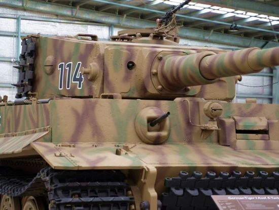 Tiger-DSC02555-1024x576