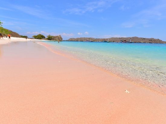 コモド島定番観光ツアー2日間！トレッキング＋ピンクビーチ、マンタウォッチングにシュノーケリングも＜混載／日本語または英語ガイド／ラブアンバジョ発着＞