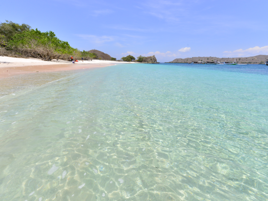 コモド島定番観光ツアー2日間！トレッキング＋ピンクビーチ、マンタウォッチングにシュノーケリングも＜混載／日本語または英語ガイド／ラブアンバジョ発着＞