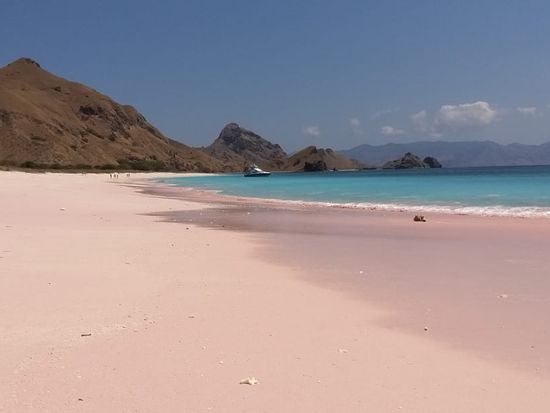 Sakura Beach