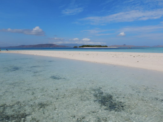 コモド島＆パダール島1日観光ツアー！ピンクビーチ＋シュノーケリング＋トレッキング＋マンタウォッチング＜混載／日本語ガイド／昼食付／ラブアンバジョ発着＞