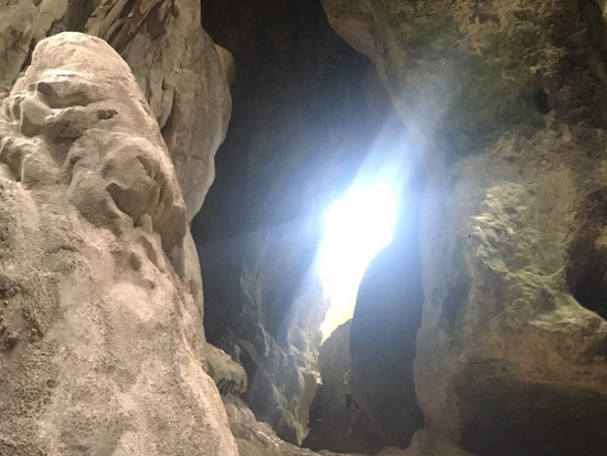 f0ce31a5-1ef9-45bd-b1fc-17d833a244e5 S