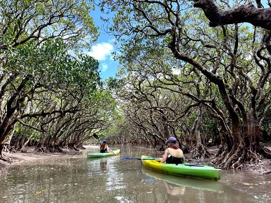 マングローブカヤック＆プチ観光1