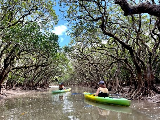 奄美大島プライベートツアー マングローブカヤック＆選べる観光スポット 奄美の自然を満喫＜女性ネイチャーガイドがご案内／約5時間／送迎付＞by Oceania