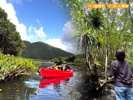 マングローブカヤック＆プチ観光_TOP