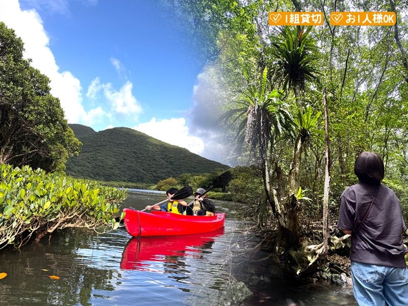 マングローブカヤック＆プチ観光_TOP