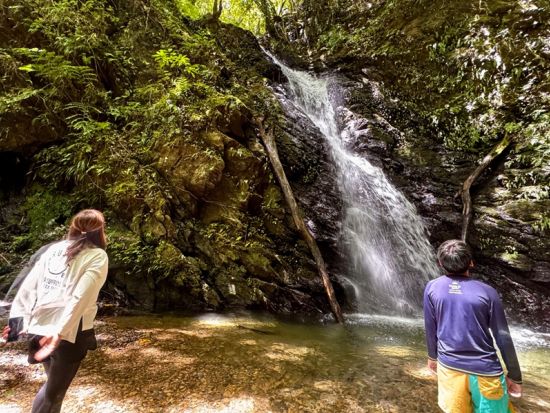 奄美大島プライベートツアー マングローブカヤック＆選べる観光スポット 奄美の自然を満喫＜女性ネイチャーガイドがご案内／約5時間／送迎付＞by Oceania