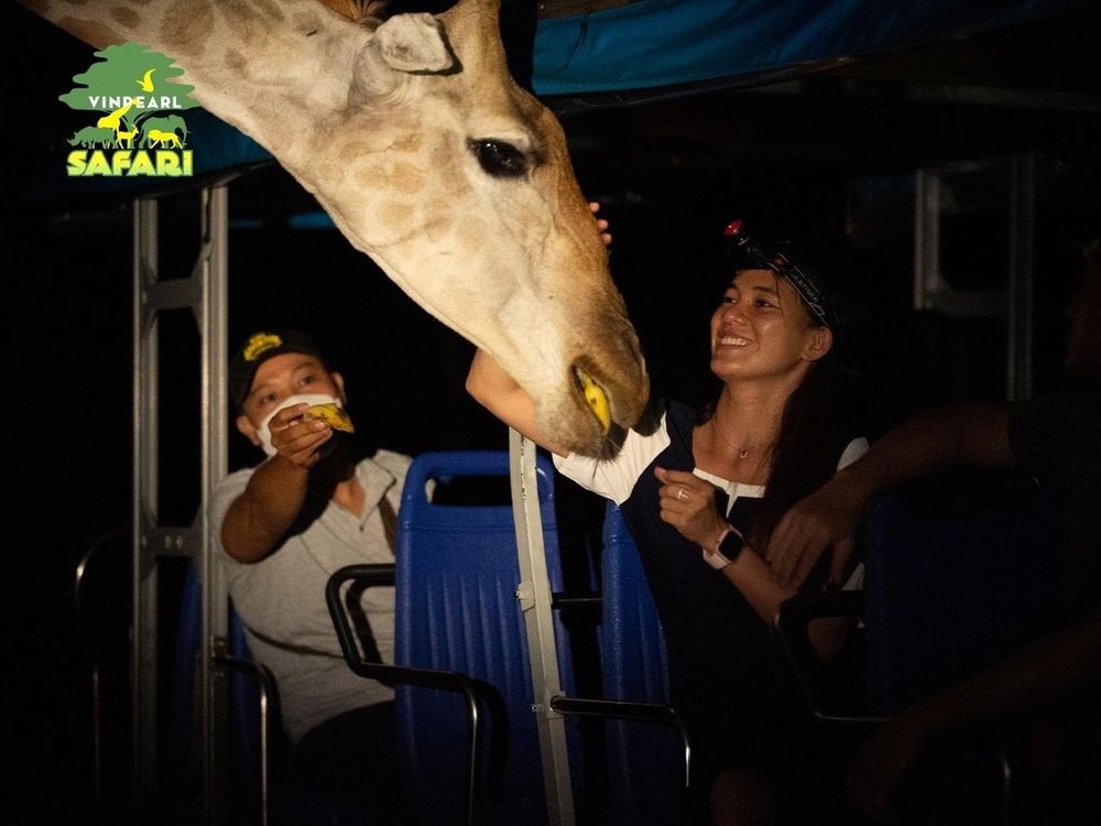 Ban sao cua Ban sao cua z459 (2)