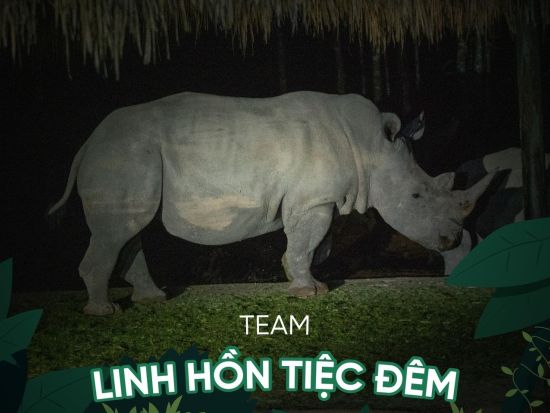 ヴィンパール サファリ フーコック（Vinpearl Safari Phu Quoc）　ナイトサファリツアー＜英語ガイド＞　※即予約確定
