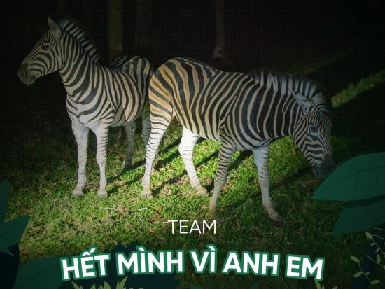 ヴィンパール サファリ フーコック（Vinpearl Safari Phu Quoc）　ナイトサファリツアー＜英語ガイド＞　※即予約確定