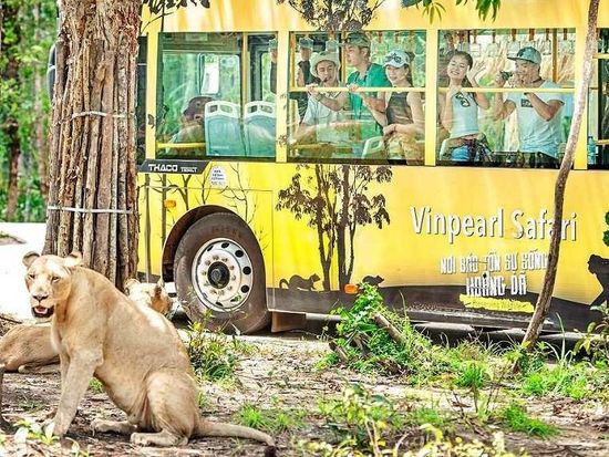 M2yBEaN8-Vinpearl-Safari-PhuQuoc-21