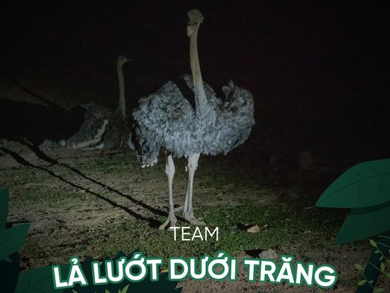 Ban sao cua Ban sao cua z459 (1)