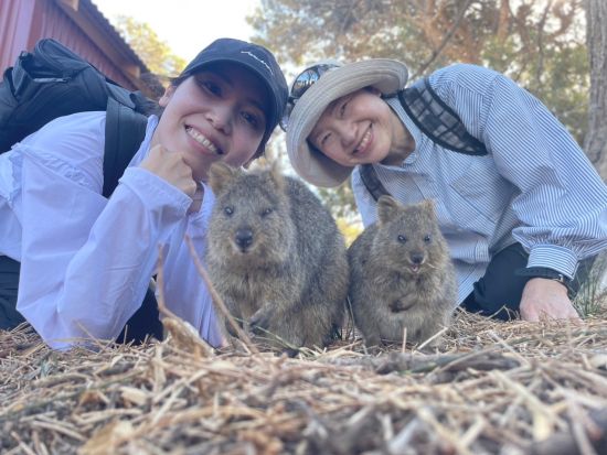 ロットネスト島「世界一幸せな動物」クオッカに出逢えるウォーキング＆島内観光バスツアー＜昼食付き／日本語ガイド／パース市内送迎付き／ヒラリーズ発着＞