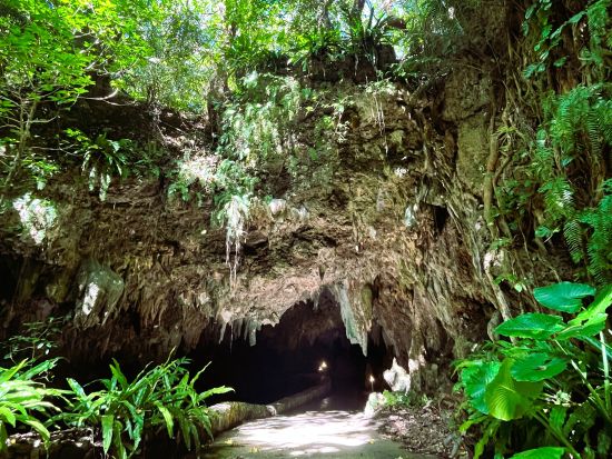 サビチ鍾乳洞入場券 神秘と絶景が待つ海へ続く石垣島の鍾乳洞体験＜石垣島＞　