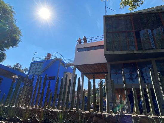 伝説の画家フリーダ・カーロの聖地巡りツアー　フリーダ・カーロ美術館（青い家）＆ディエゴ・リベラと過ごしたアトリエを訪問＜日本語ガイド／メキシコシティ発＞