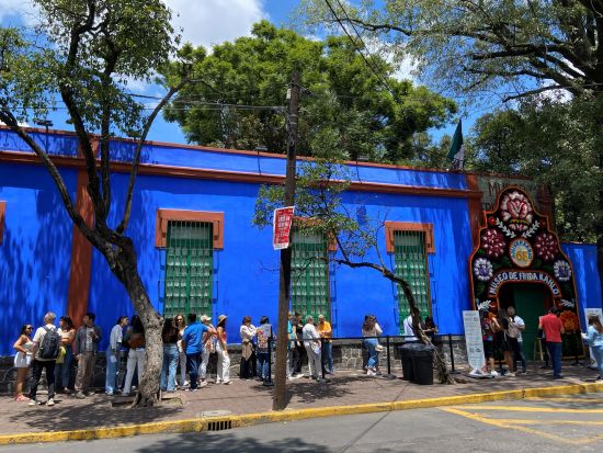 伝説の画家フリーダ・カーロの聖地巡りツアー　フリーダ・カーロ美術館（青い家）＆ディエゴ・リベラと過ごしたアトリエを訪問＜日本語ガイド／メキシコシティ発＞