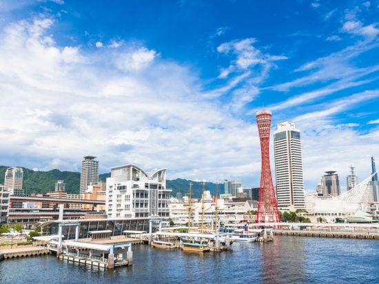 貸切観光タクシー 自由に巡る兵庫フリープラン＜3時間～／1-9名／神戸市内発着＞by MKタクシー