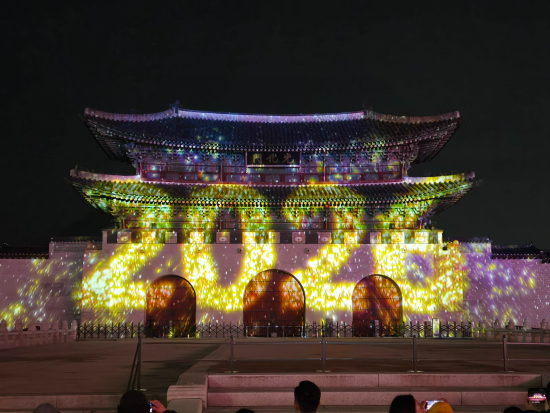 到着日の夜OK！ソウル夜景貸切ツアー 人気夜景スポット3時間 漢江公園 虹の噴水ショー+セビッソム+光化門広場+清渓川