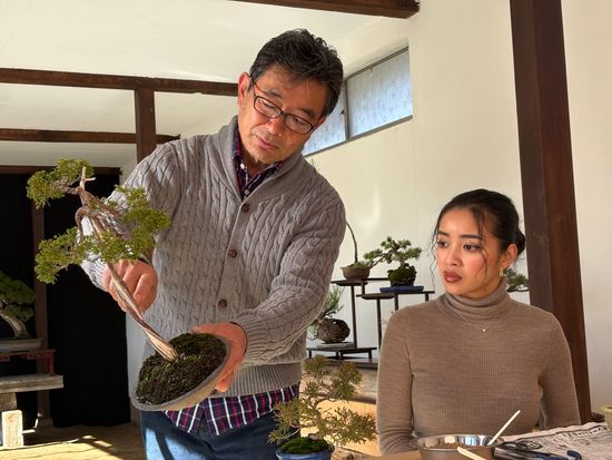 盆栽師が直接指導