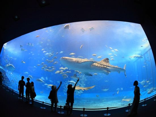 貸切観光タクシー クルーズ船の寄港に最適！専用車でめぐる沖縄観光フリープラン＜3時間～／1-9名／那覇港発着＞by MKタクシー