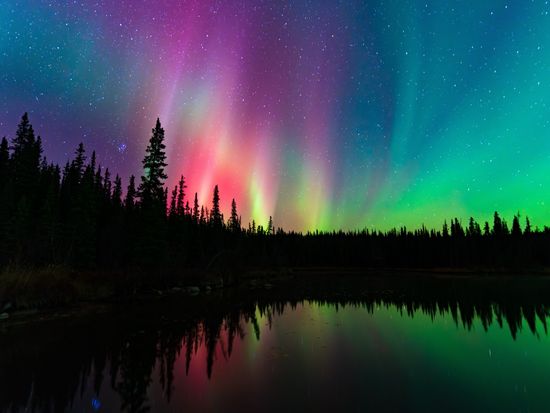 d018cd65-6200-4bcb-9ac5-6f19c575965a