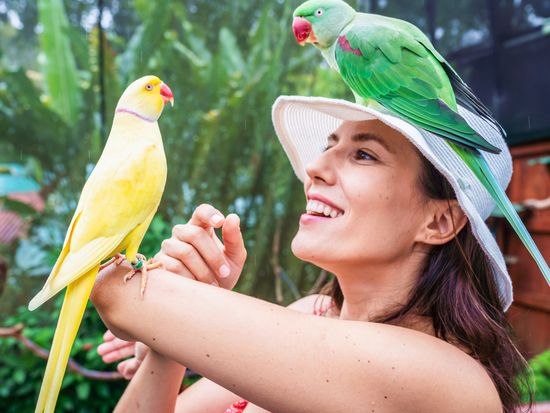 birdworld-social-media58