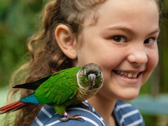 Birdworld-and-Koala-Gardens-27