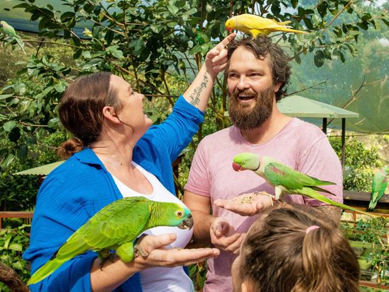 Birdworld-and-Koala-Gardens-4