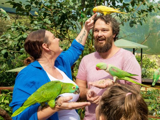 バードワールド キュランダ チケット予約　約60種の鳥が暮らす熱帯の楽園で鳥たちとのふれあいを楽しむ！