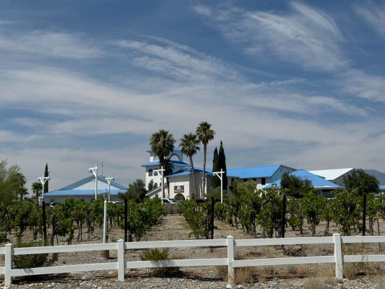 パーランプ ワイナリーツアー　地元ワイナリー2軒を巡りネバダ生まれのワインを堪能＜フード付き／試飲あり／英語ガイド／ラスベガス発＞