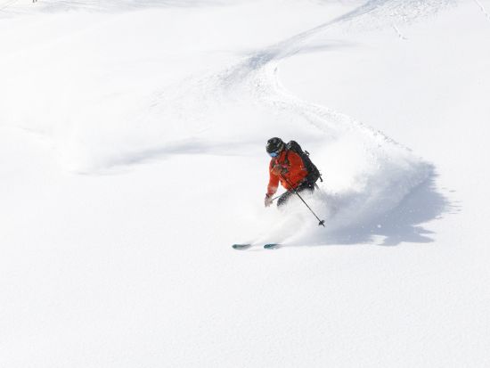 ニセコ東急 グラン・ヒラフエリア内利用限定プレミアムリフト券 各リフトで待たずに乗れるファストパス＆8時からエースゴンドラに乗車できるアーリーアクセス権がセット